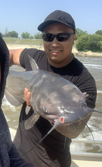 Channel Catfish