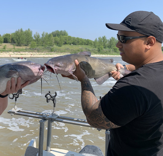 Channel Catfish