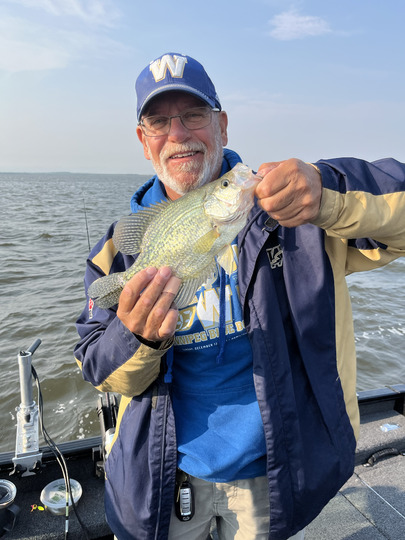 Black Crappie
