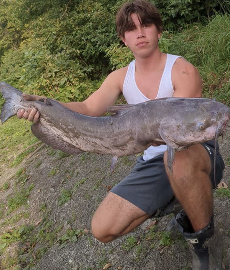 Channel Catfish