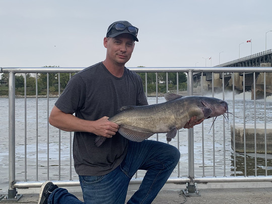 Channel Catfish