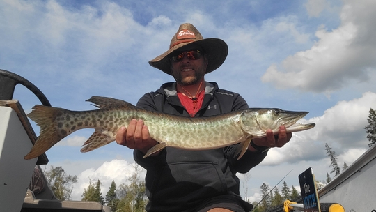 Muskellunge