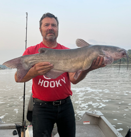 Channel Catfish