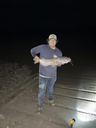 Channel Catfish