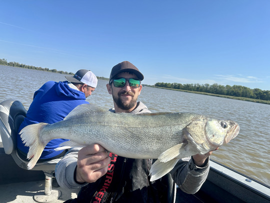 Walleye