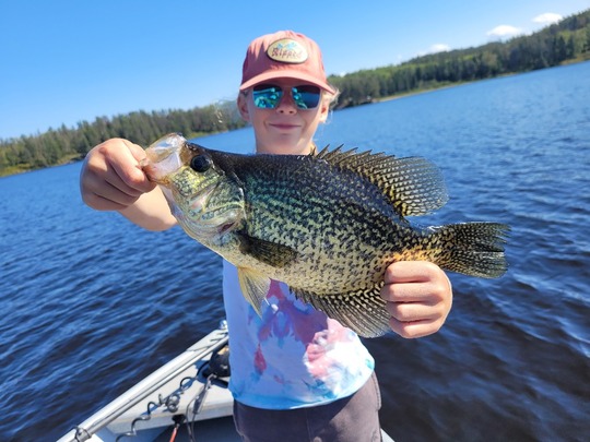 Black Crappie