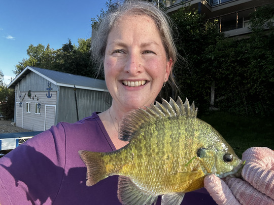 Sunfish