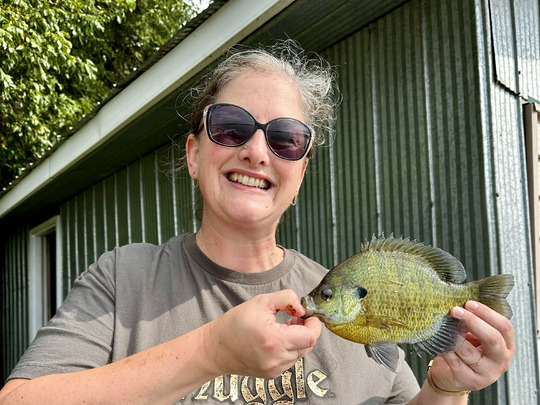 Sunfish
