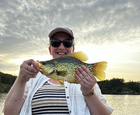 Black Crappie