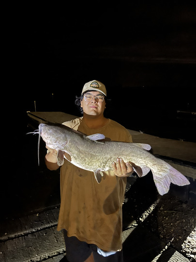 Channel Catfish