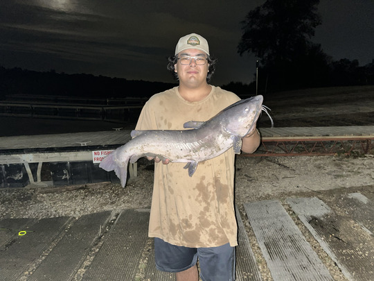 Channel Catfish