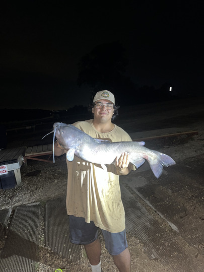 Channel Catfish