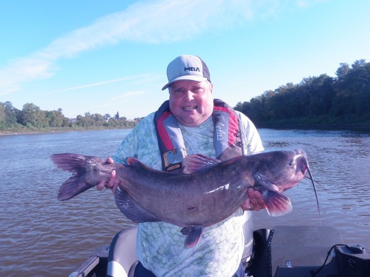Channel Catfish