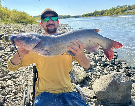 Channel Catfish