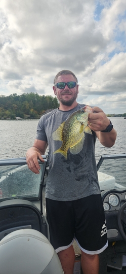 Black Crappie