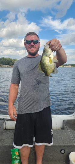 Black Crappie