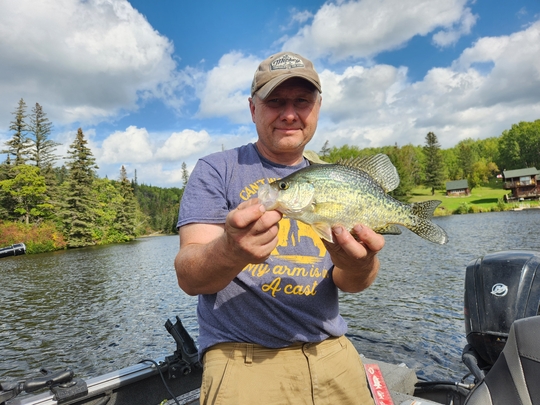 Black Crappie