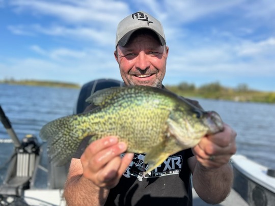 Black Crappie