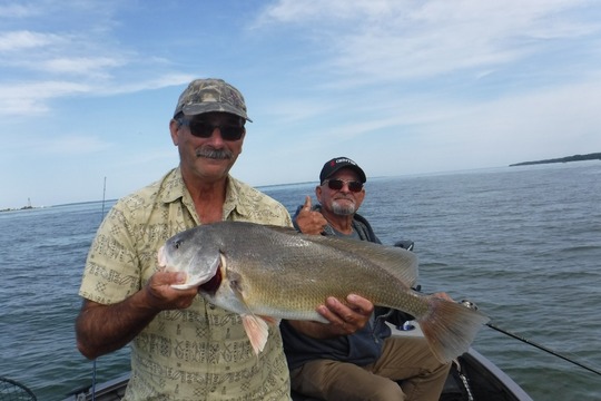 Freshwater Drum