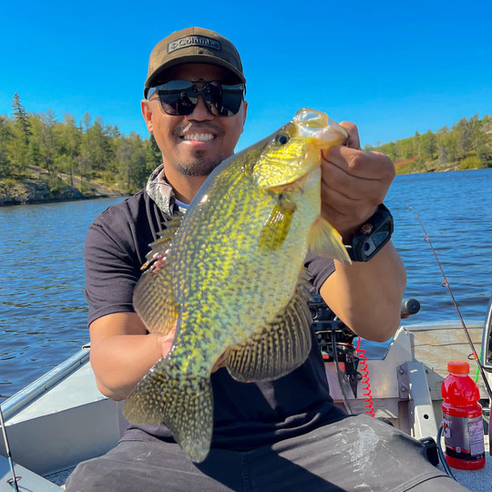 Black Crappie