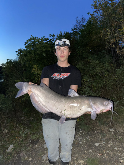 Channel Catfish