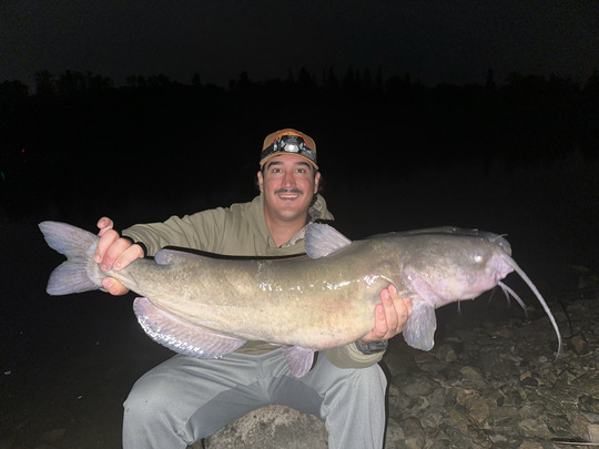 Channel Catfish