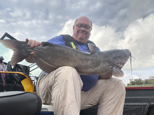Channel Catfish