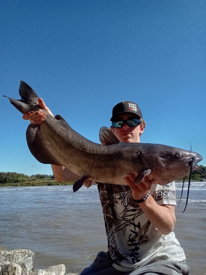 Channel Catfish