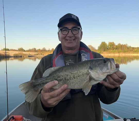 Largemouth Bass