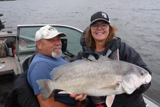 Freshwater Drum