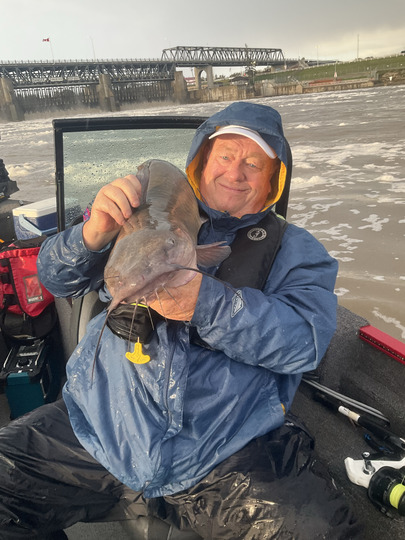 Channel Catfish