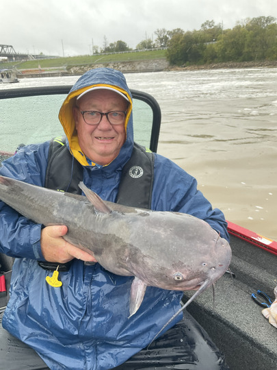 Channel Catfish