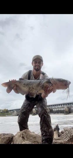 Channel Catfish