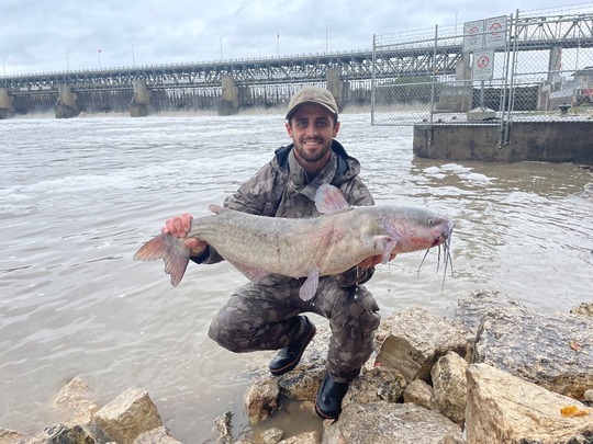 Channel Catfish