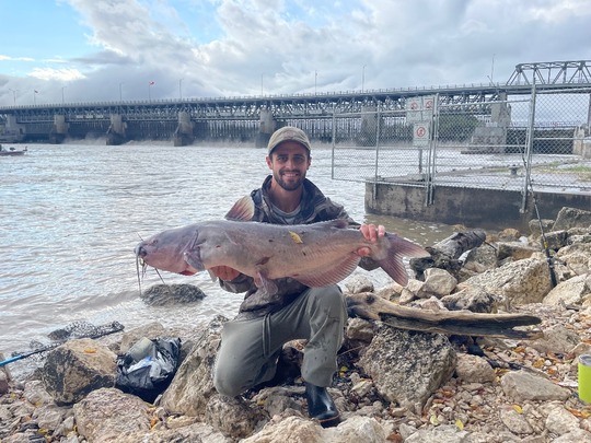 Channel Catfish