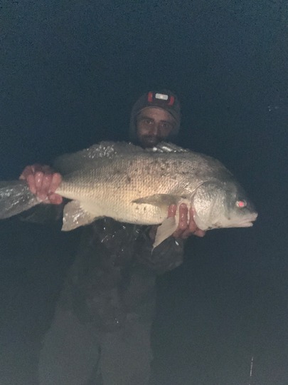 Freshwater Drum