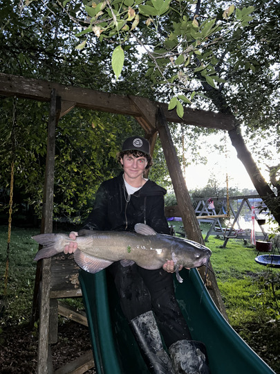 Channel Catfish