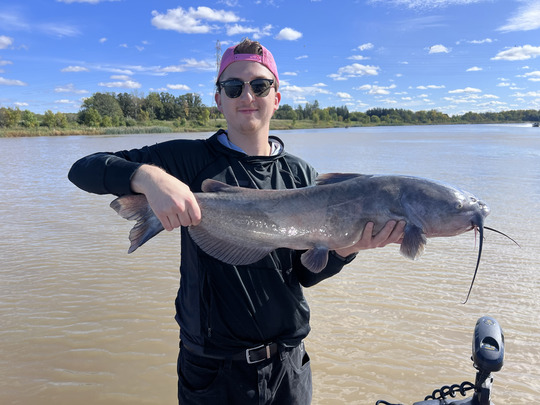 Channel Catfish