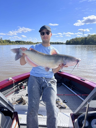 Channel Catfish