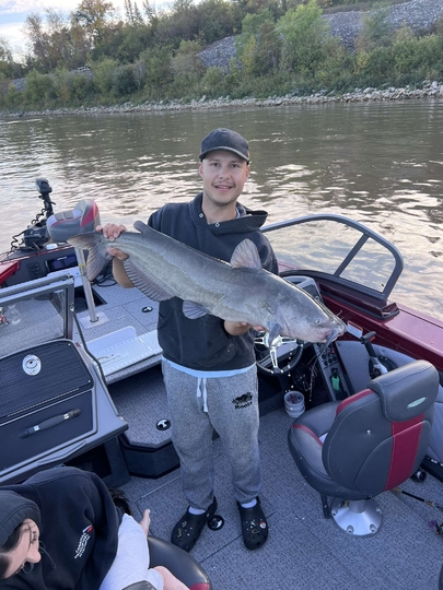 Channel Catfish