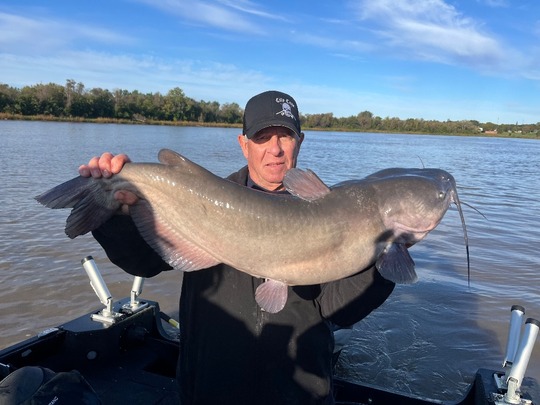 Channel Catfish