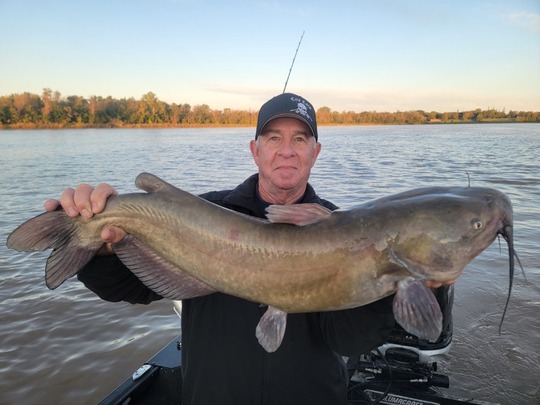 Channel Catfish