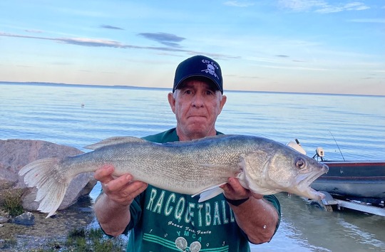 Walleye