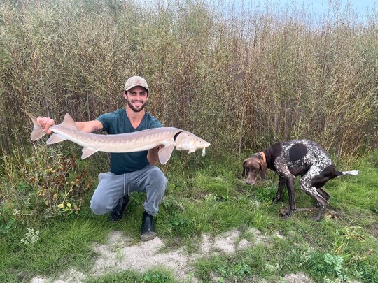 Lake Sturgeon