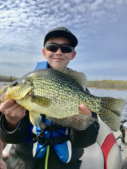 Black Crappie