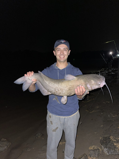 Channel Catfish