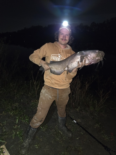 Channel Catfish