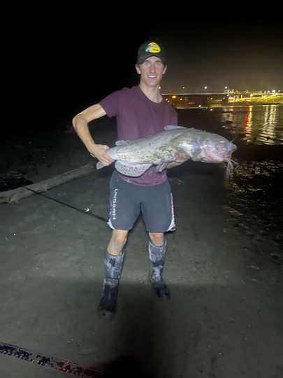 Channel Catfish