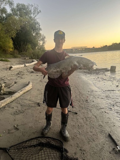 Channel Catfish