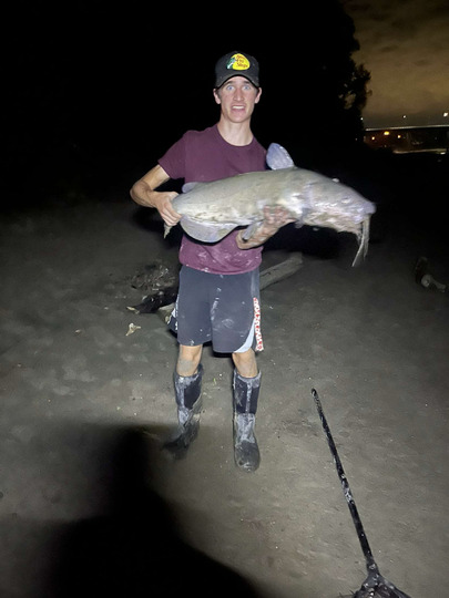 Channel Catfish